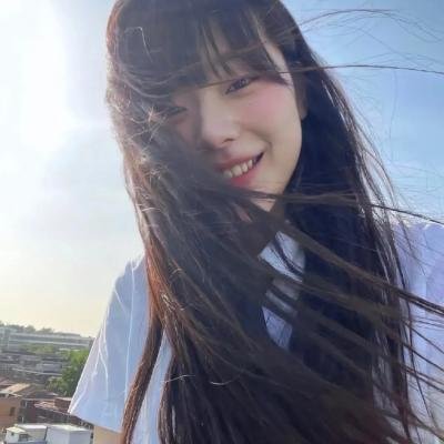 蓝徽特攻队